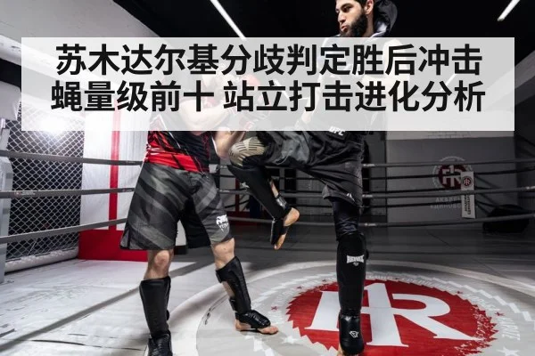 苏木达尔基分歧判定胜后冲击蝇量级前十 站立打击进化分析