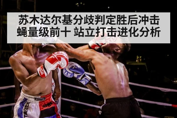 fighter combination punches